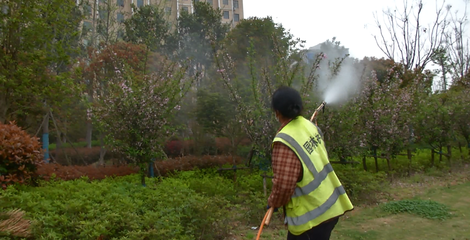 大悟 |大悟县城管局:打造净化、绿化、亮化、美化的城区环境
