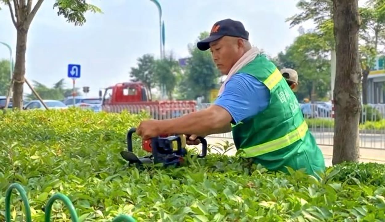 果然视频丨泰安市城市管理局园林绿化处开展首届修剪技能评比活动